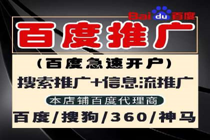 百度竞价广告成功案例集锦：如何玩转搜索引擎营销